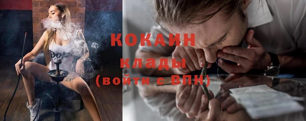 дживик Верея