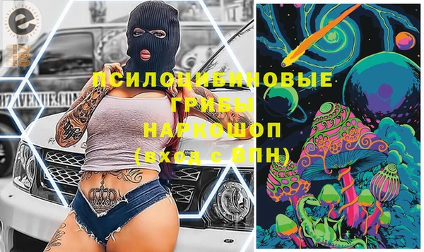 ешки Верхний Тагил