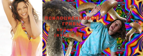 дживик Бугульма