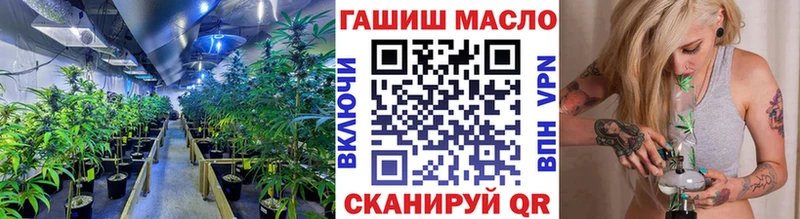 blacksprut зеркало Горбатов ТГК концентрат